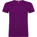 BEAGLE T-Shirt 6554