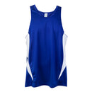 Accelerator Singlet