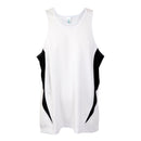 Accelerator Singlet